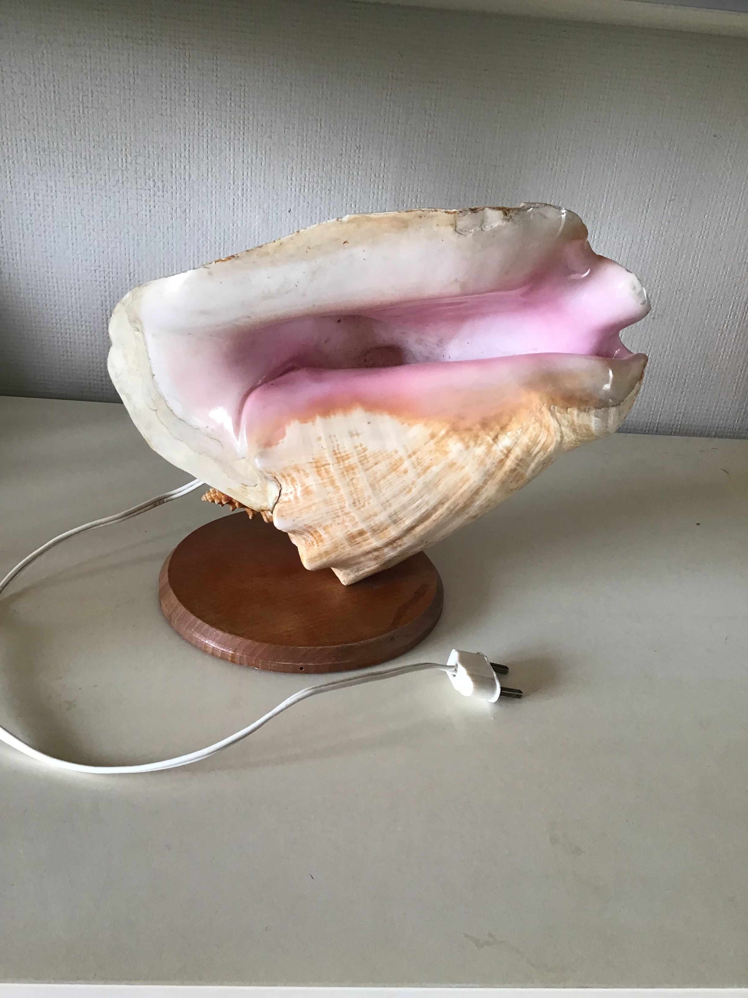 Bedside lamp in vintage shell year 60