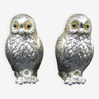 Salt & pepper owl