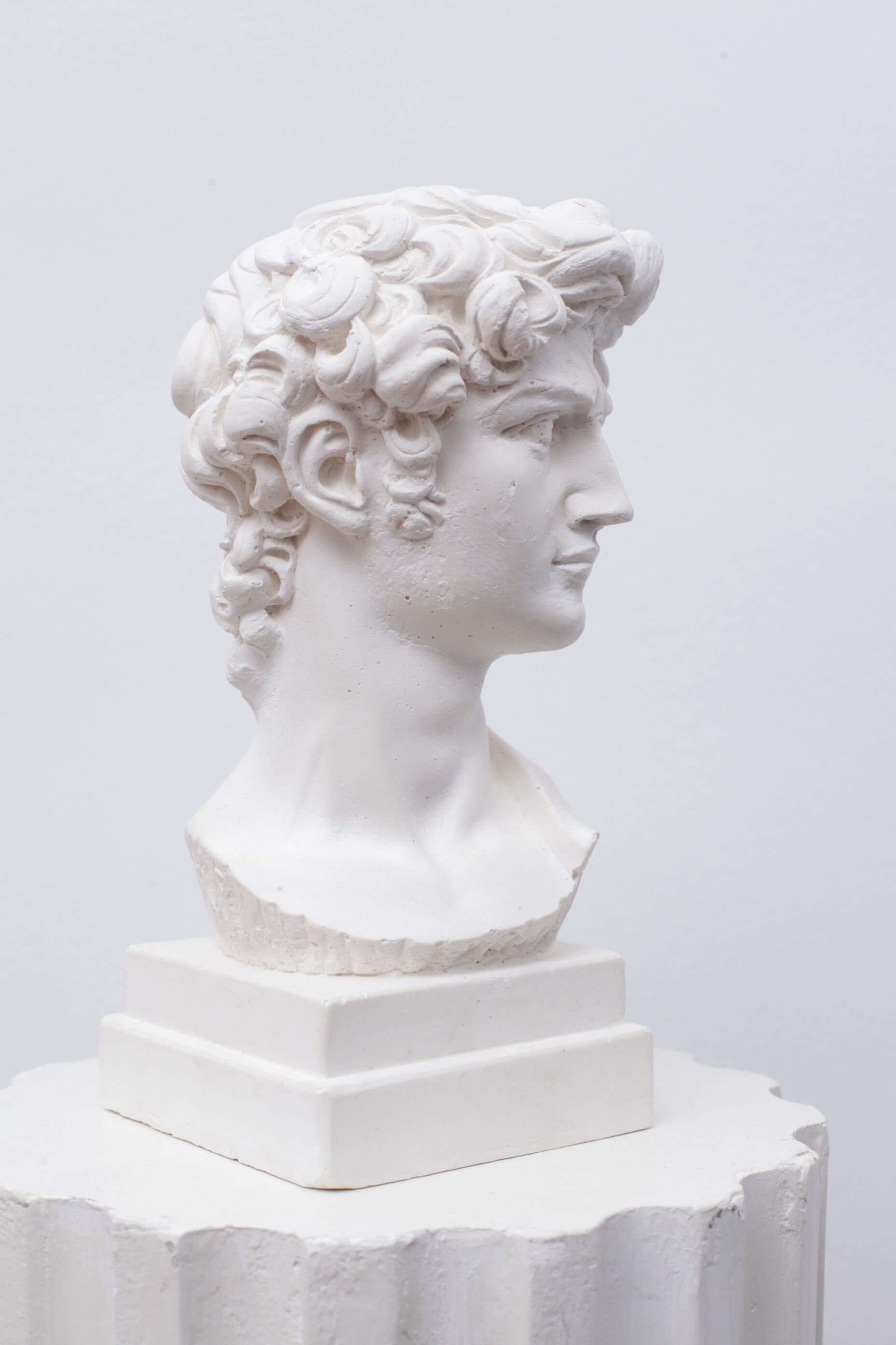 Head David in white plaster Roman Greek sculpture