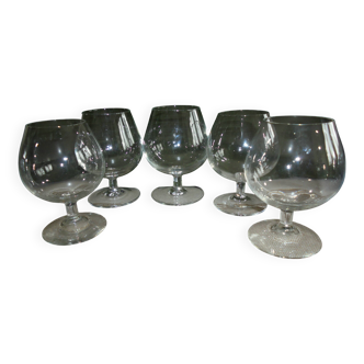 5 cognac glasses, glass