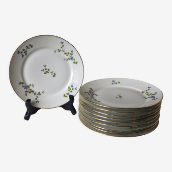 10 assiettes à dessert à fleurs bleues, liseré doré en porcelaine véritable LF en bon état.