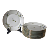 10 dessert plates with blue flowers, golden border in real LF porcelain in good condition.