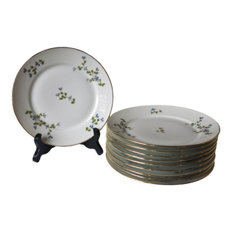 10 dessert plates with blue flowers, golden border in real LF porcelain in good condition.