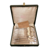 Box of 12 ERCUIS coffee spoons