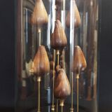 Cabinet of Curiosities globe with conus figulinus shells
