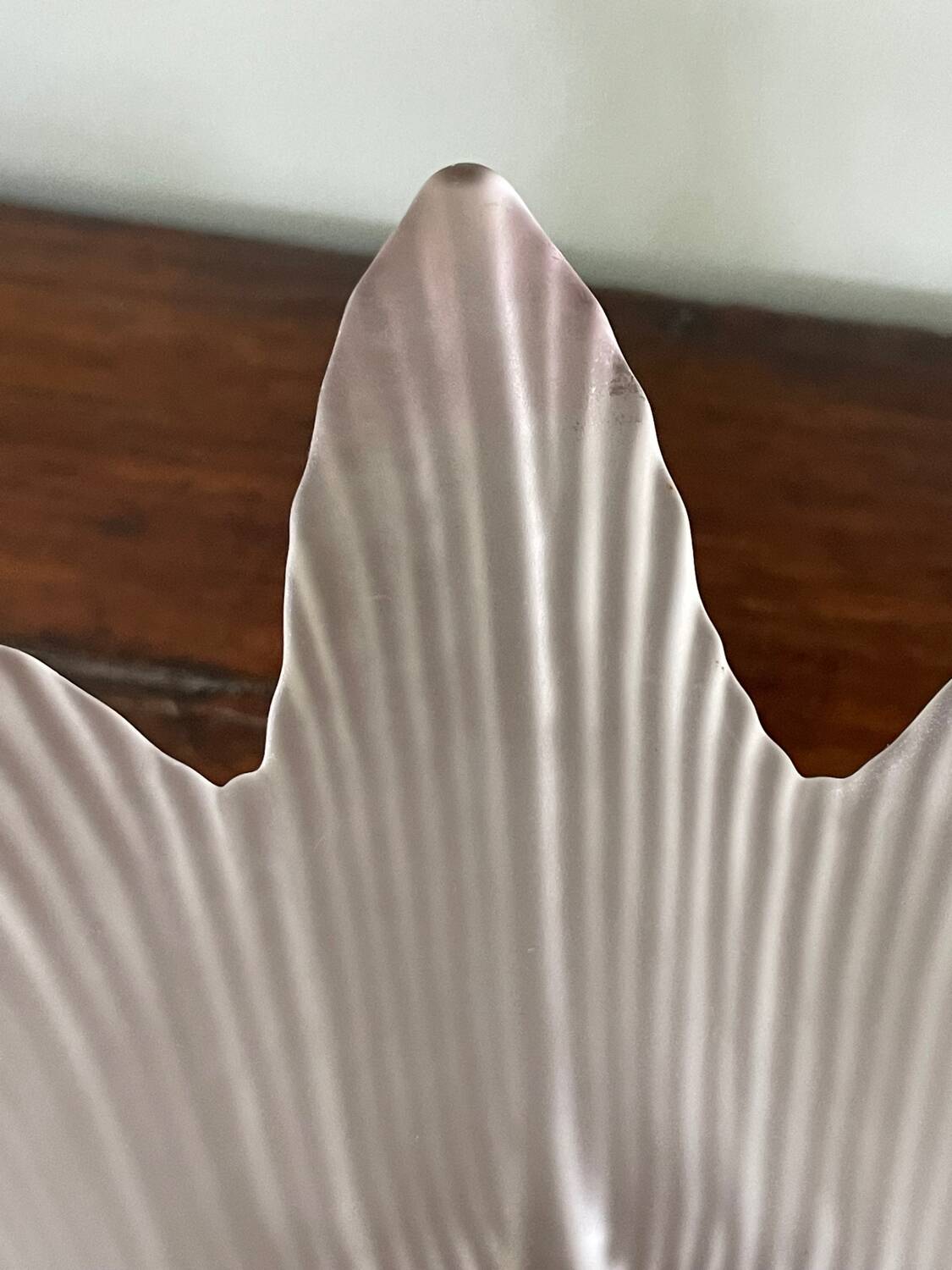 Antique frosted glass tulip globe