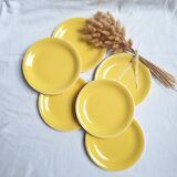 Villeroy & Boch yellow dinner plates