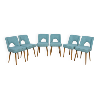 Shell chairs from Bydgoszcz furniture factory, 1960s, Poland set of 6