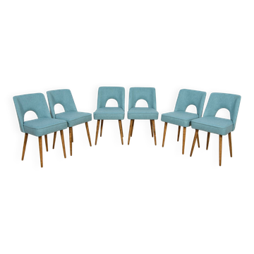 Chaises Shell de l'usine de meubles de Bydgoszcz, années 1960, Pologne, ensemble de 6.