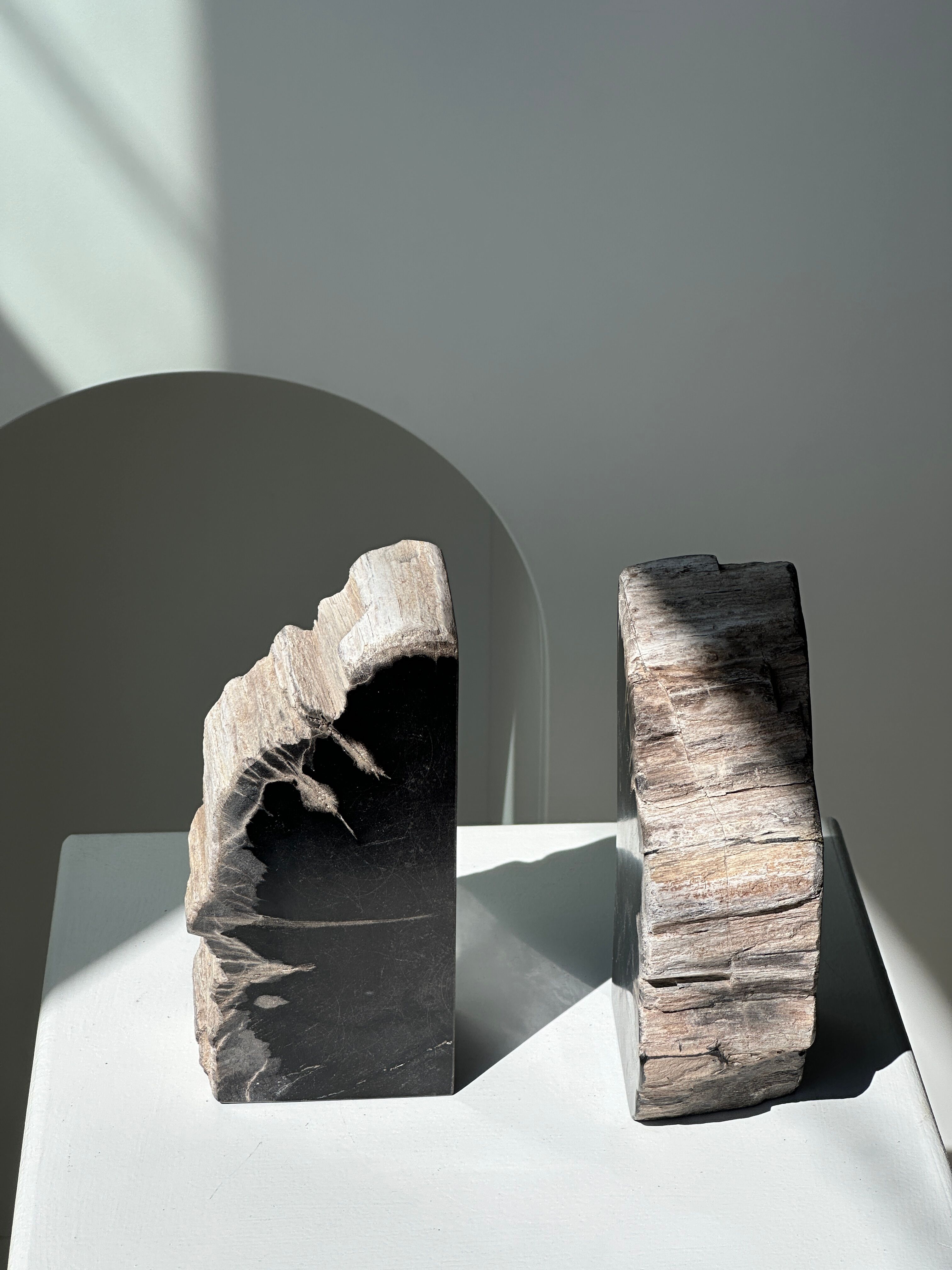 Black petrified wood bookend H17 L17 P6