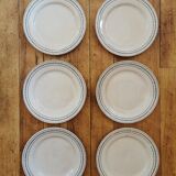 Plates in iron earth Gien