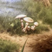 Affiche scolaire en lin vintage – Dans la forêt (M.A. Koekkoek)