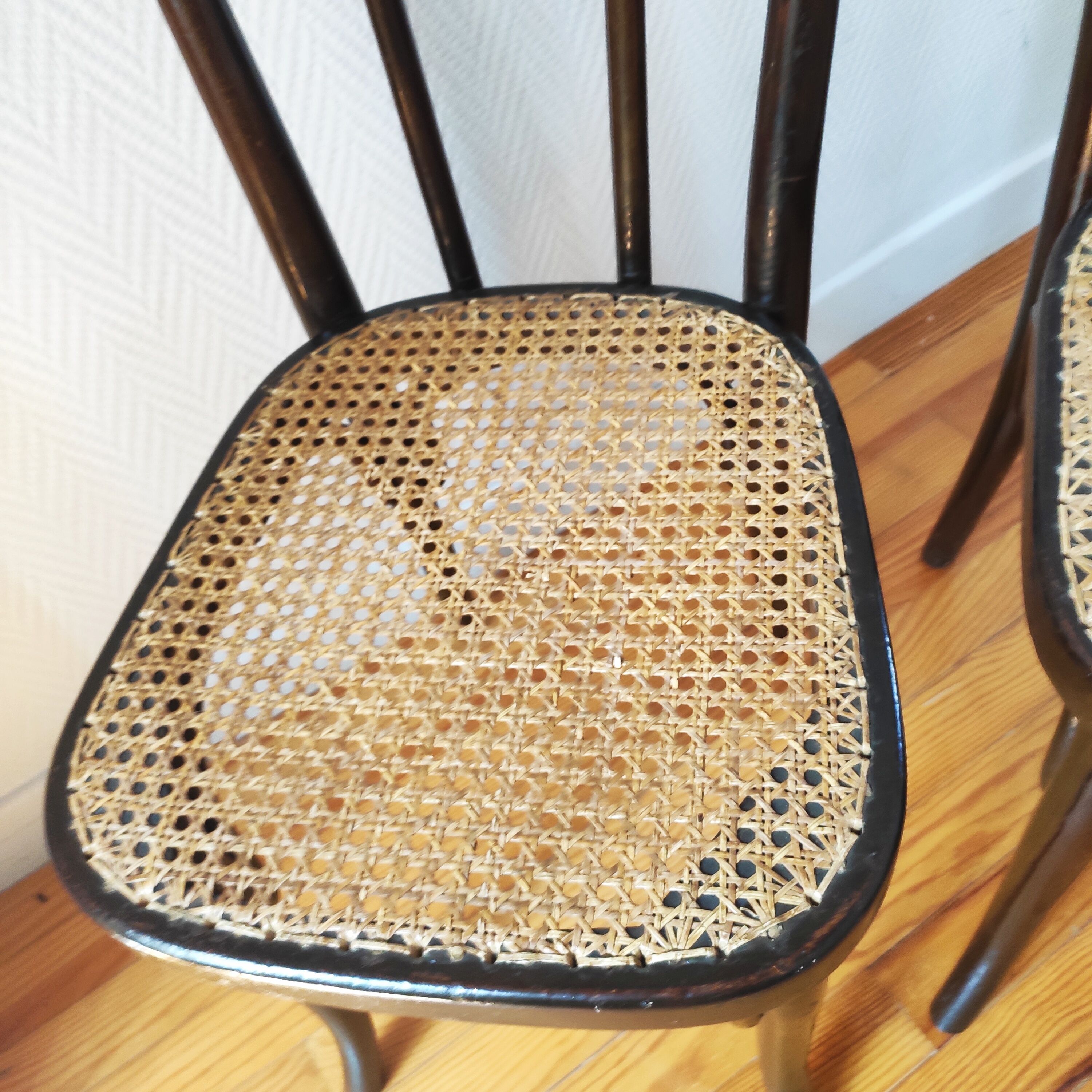 Pair of chairs bistrot Thonet N°56