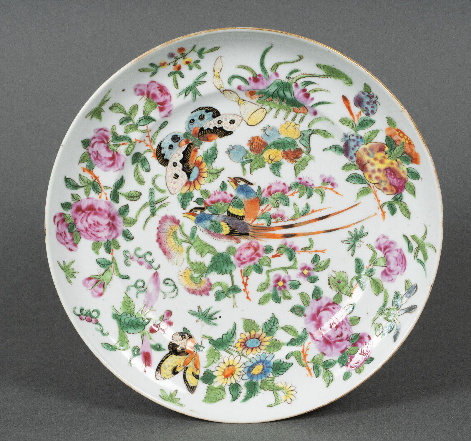 Porcelain plate of Canton XIXth decoration of butterflies and bird