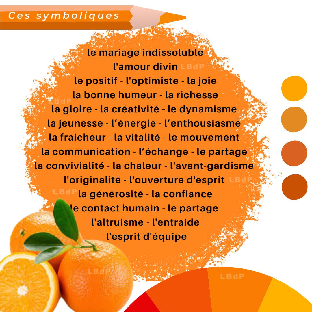 Albany armchair by Michel Ducaroy for Ligne Roset No. 5