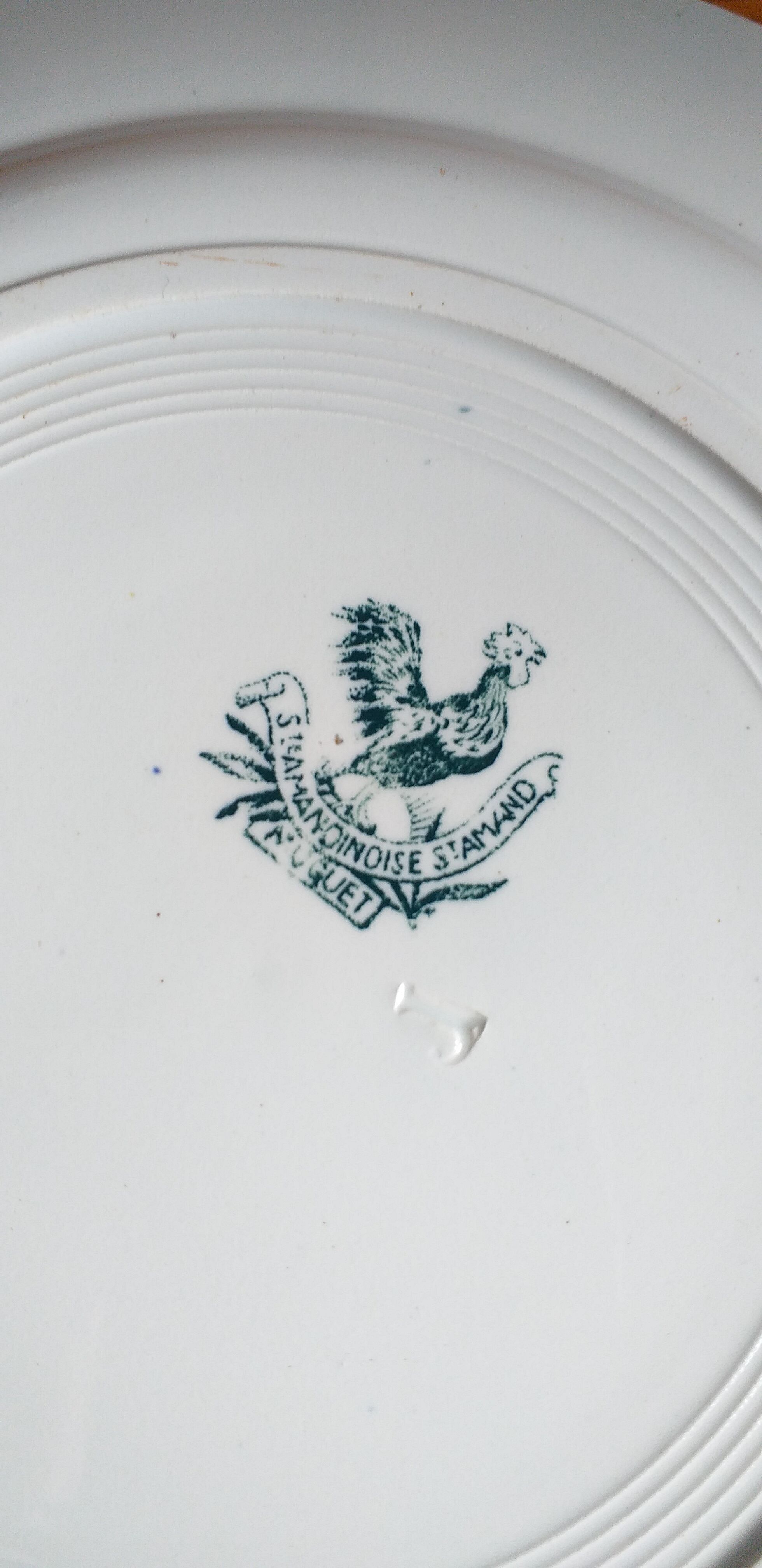 Flat porcelain plate st Amandinoise st amand model thrush