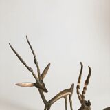 Ensemble antilopes gazelles laiton