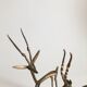 Set brass gazelles antelopes