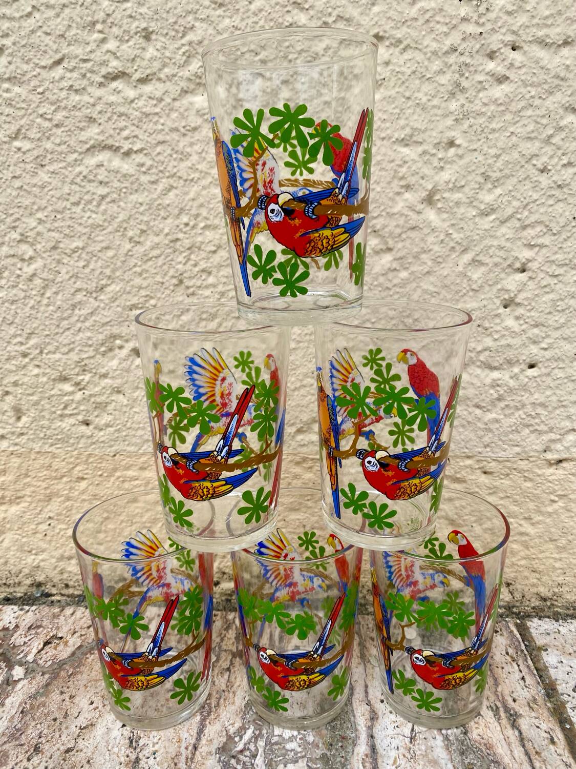 Six vintage parakeet glasses