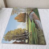 Landscape oil painting