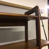 Scandinavian bookcase 1960