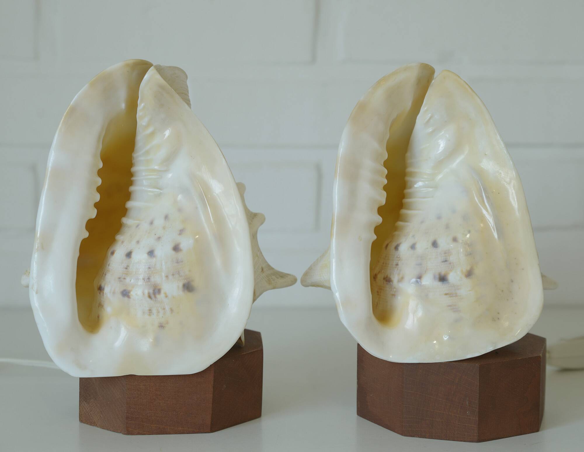 Vintage bedside shell lamps lake house decor wooden table lights set of 2