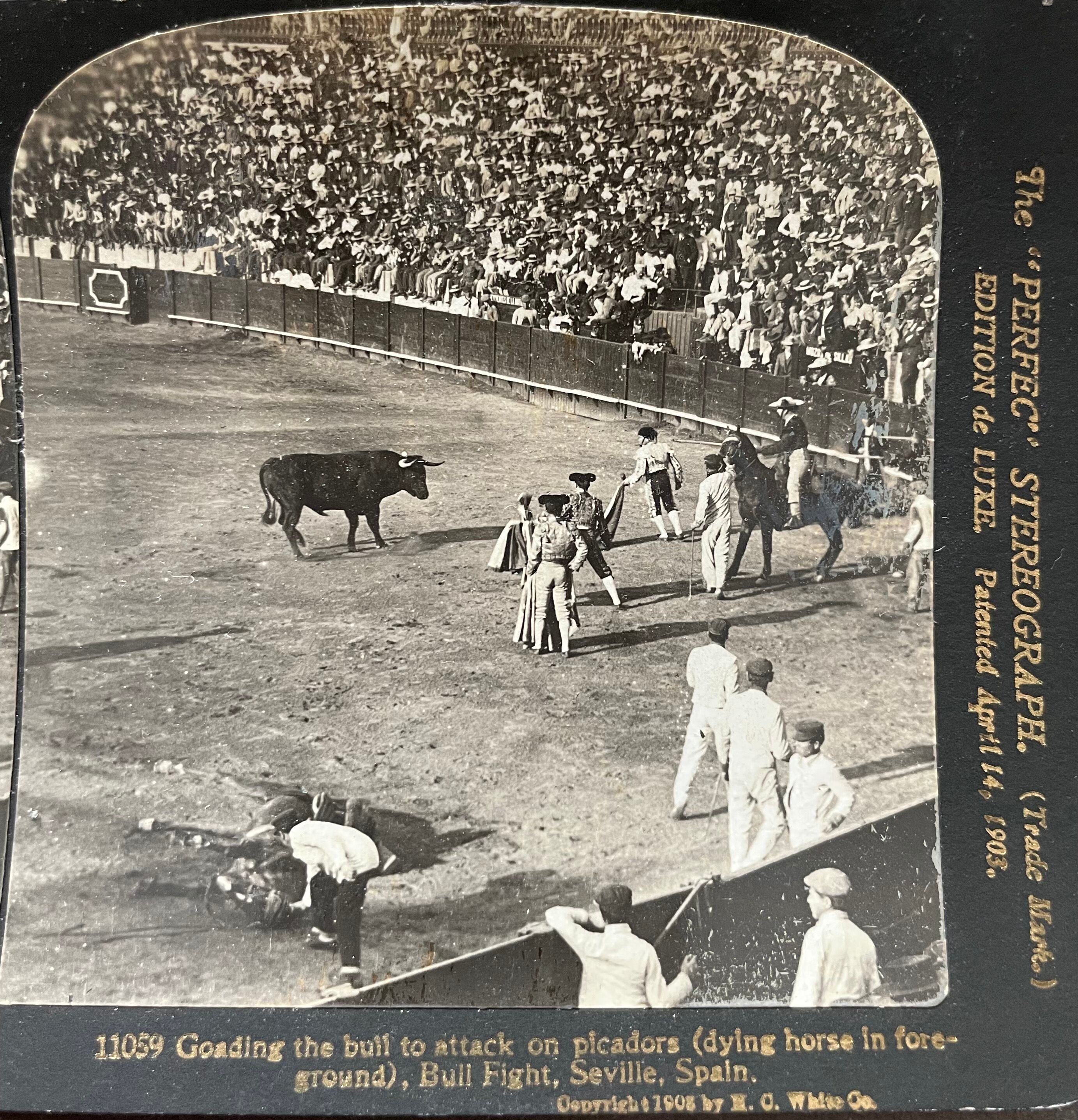 Old photography stereo, stereograph, luxury albumine 1903 bullfight, Seville, Spain