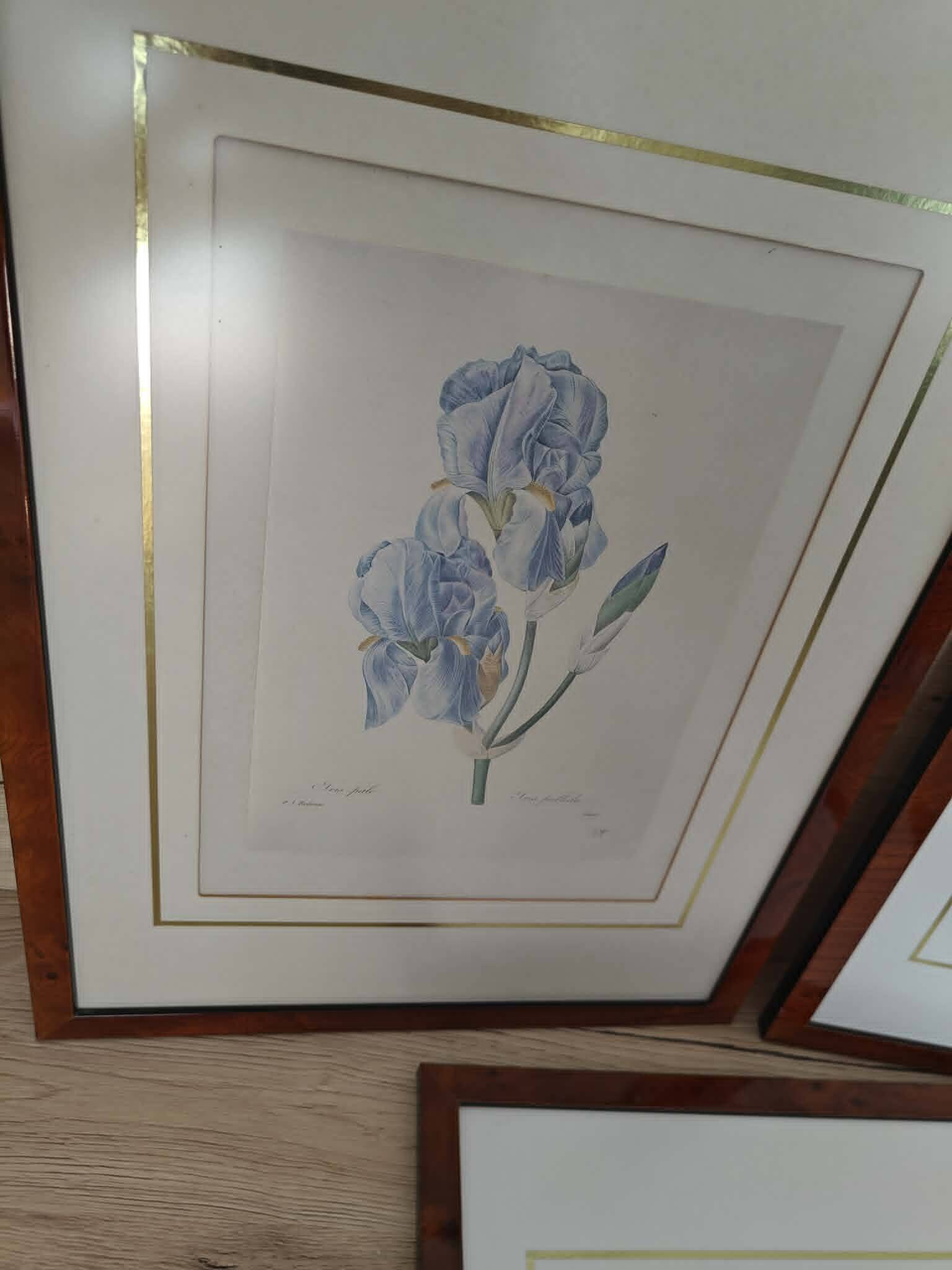 Lot 3 Large Botanical Engravings by Pierre-Joseph Redouté Flowers