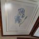 Lot 3 Large Botanical Engravings by Pierre-Joseph Redouté Flowers