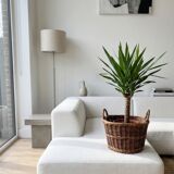 Basket, wicker pot, woven rattan