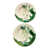 Salins barbotine plates