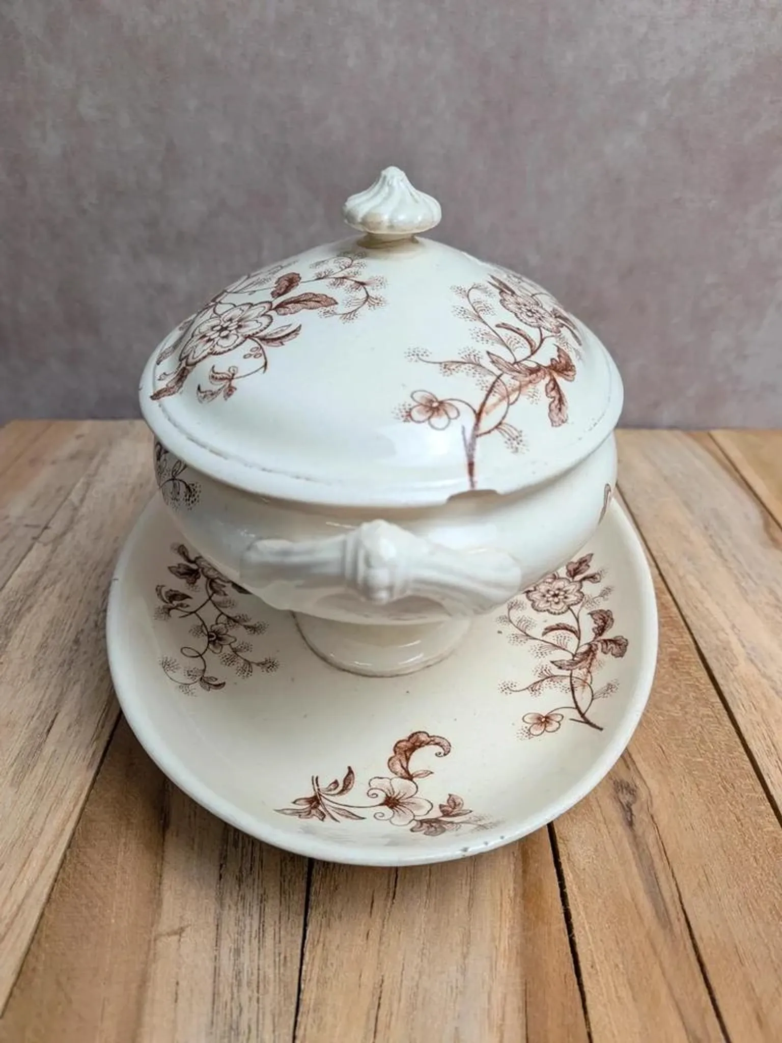 Antique sauce boat in ironstone from Salins – Sepia dragonfly decoration – With lid