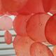 Suspension with pink mother-of-pearl tablets