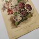 Botanical engraving from 1897 - Hybrid Petunias - Original flower plate