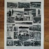 Original lithograph on molluscs