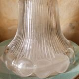 Glass holophanous tulip