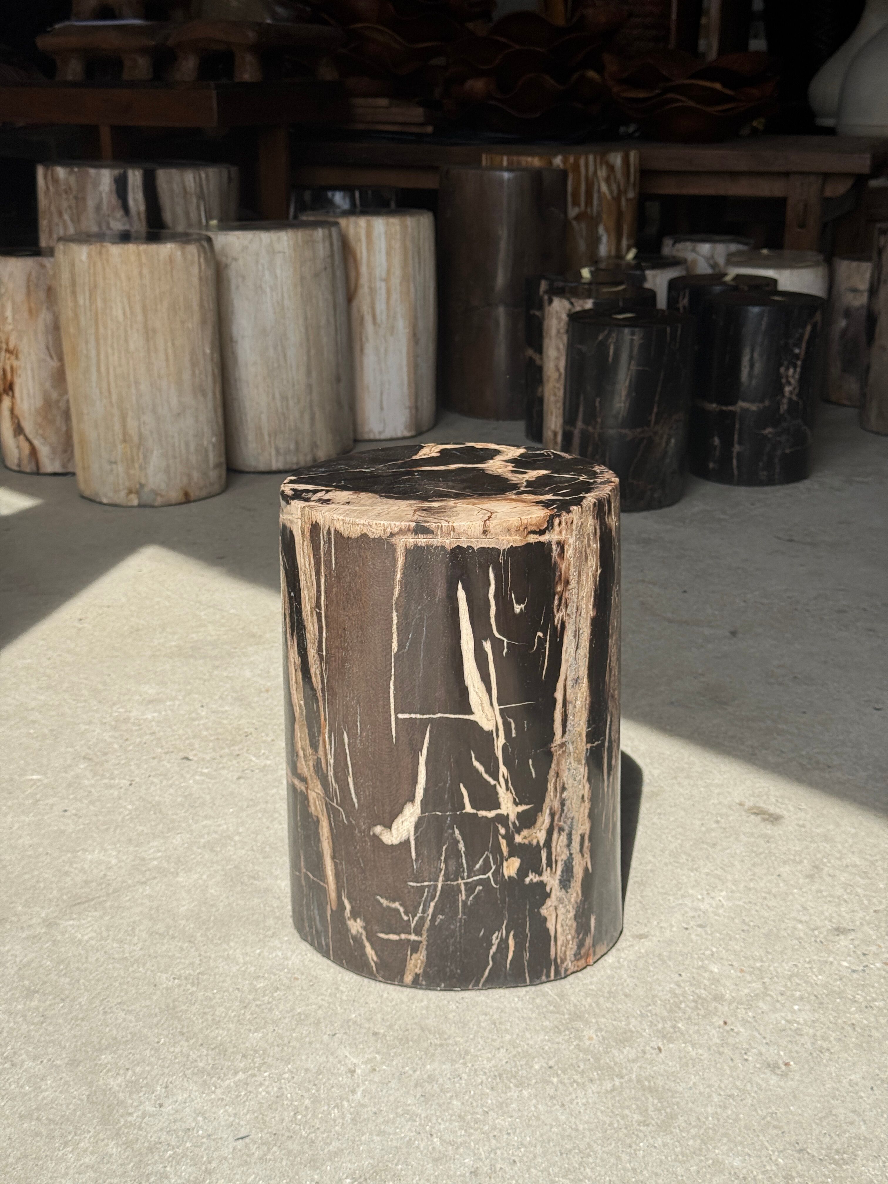 Black petrified wood side table with beige stripes and a semicircular shape.