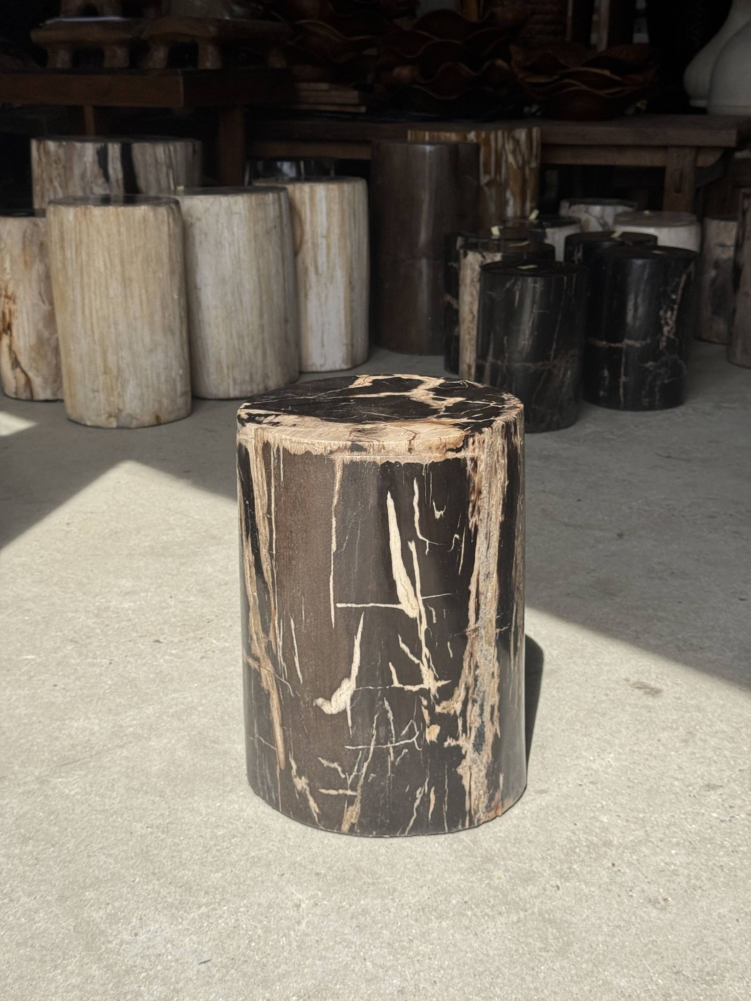 Black petrified wood side table with beige stripes and a semicircular shape.