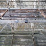 Baker's grid