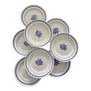 lot de 8 assiettes plates - fleurs