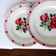 6 flat plates of Digoin Sarreguemines model Saverne
