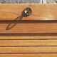 "JB" sliding curtain (notary) filing cabinet