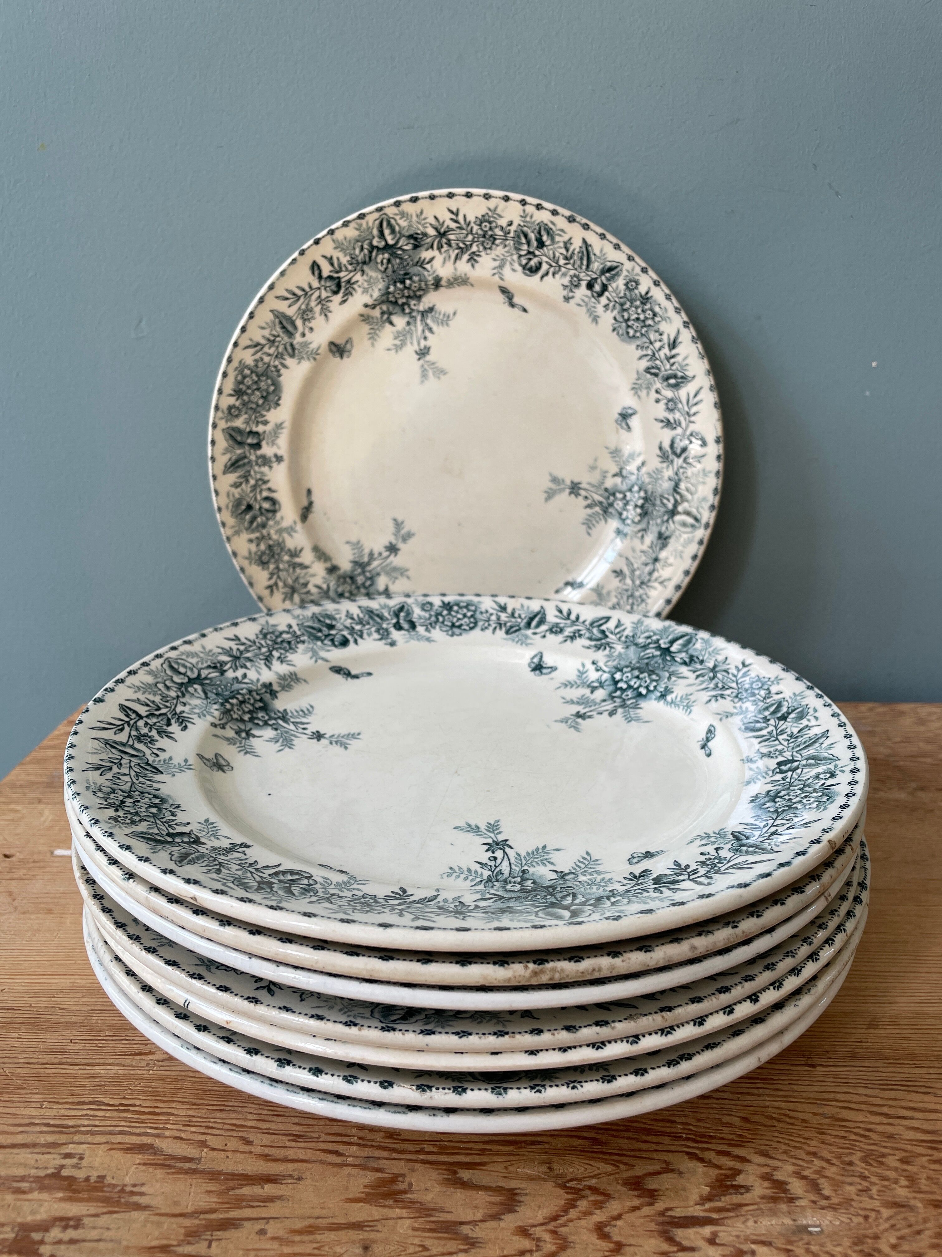 Set of 8 flat plates 19th century Terre de Fer, “Stella” Onnaing earthenware