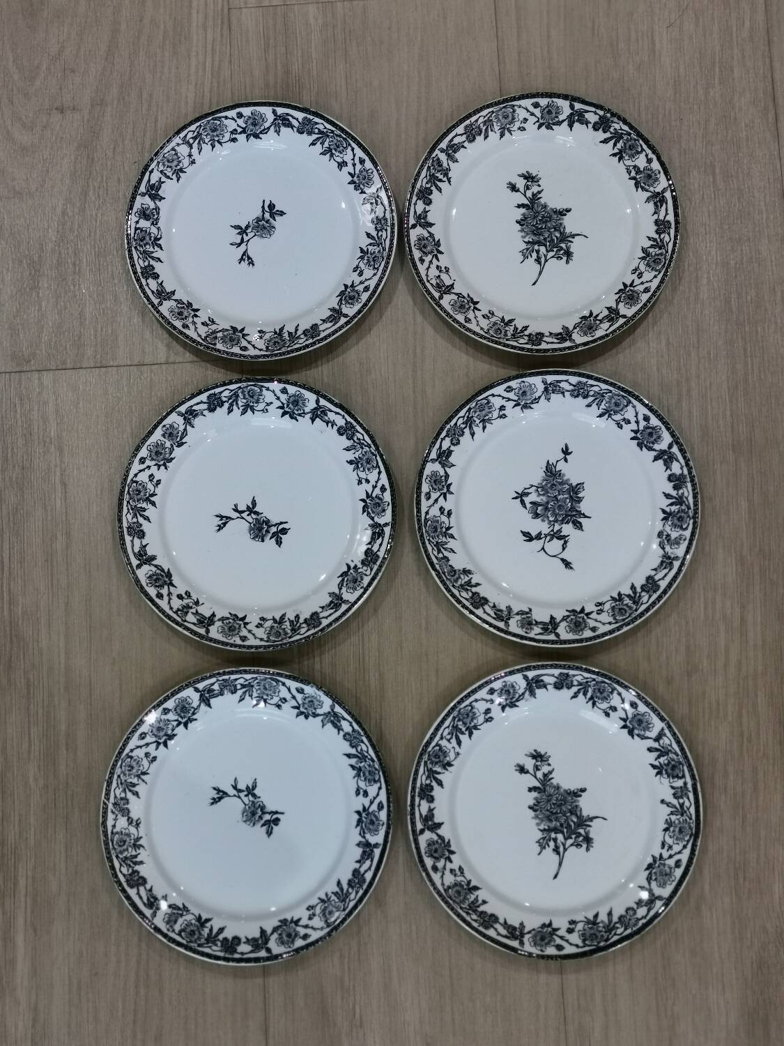 6 Pexonne "Paquerette" flat plates