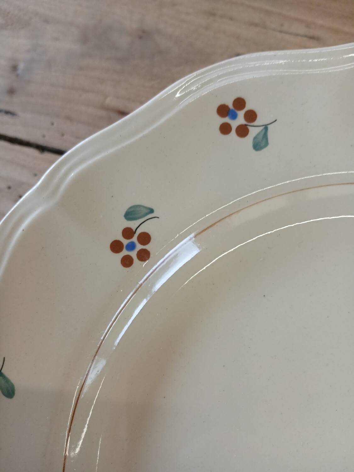 9 old flat plates Digoin Sarreguemines