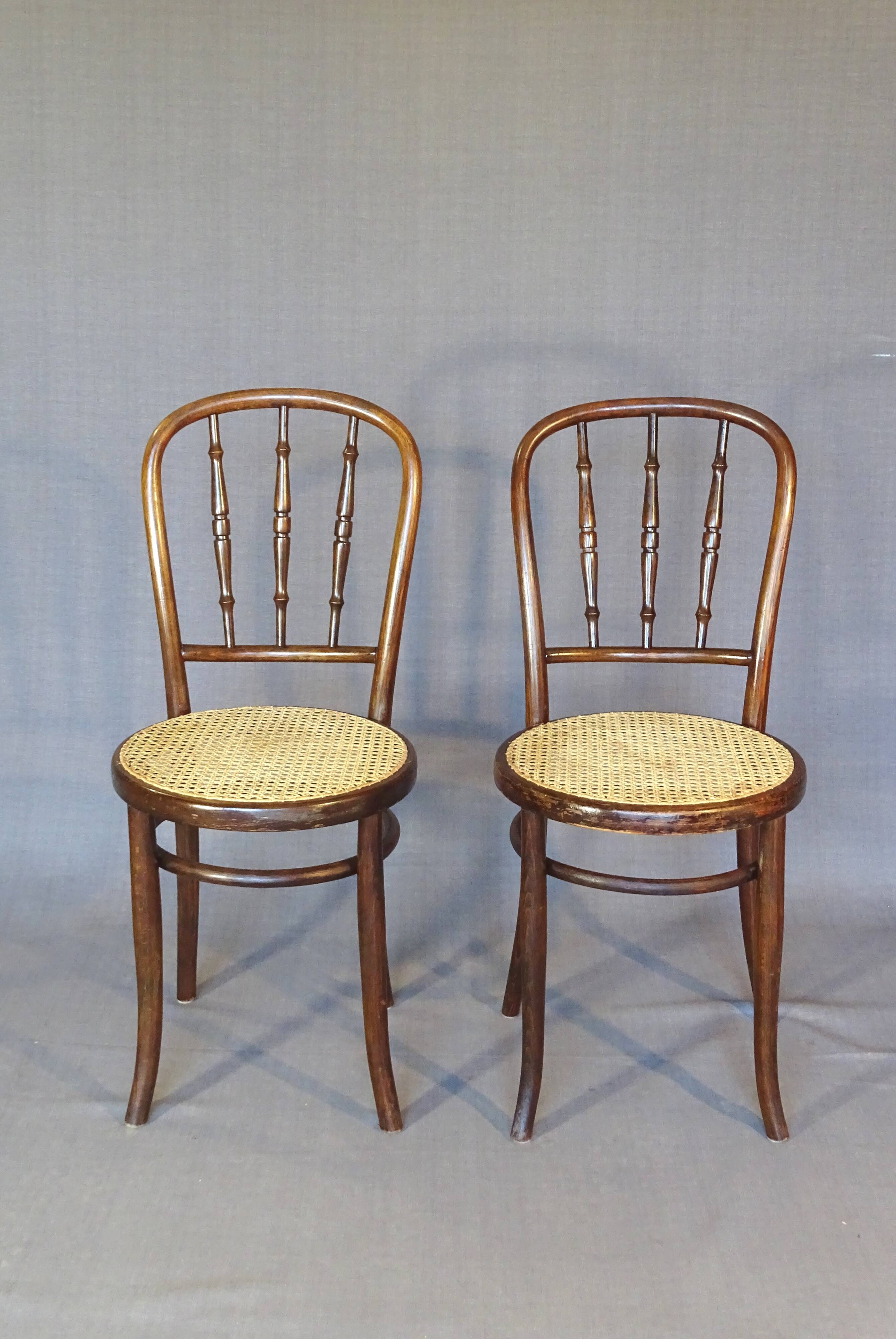 Set of 2 Kohn bistro cane chairs 1920 - bentwood -
