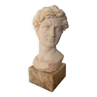 Head of David in plaster on marble base signed G. Carusi