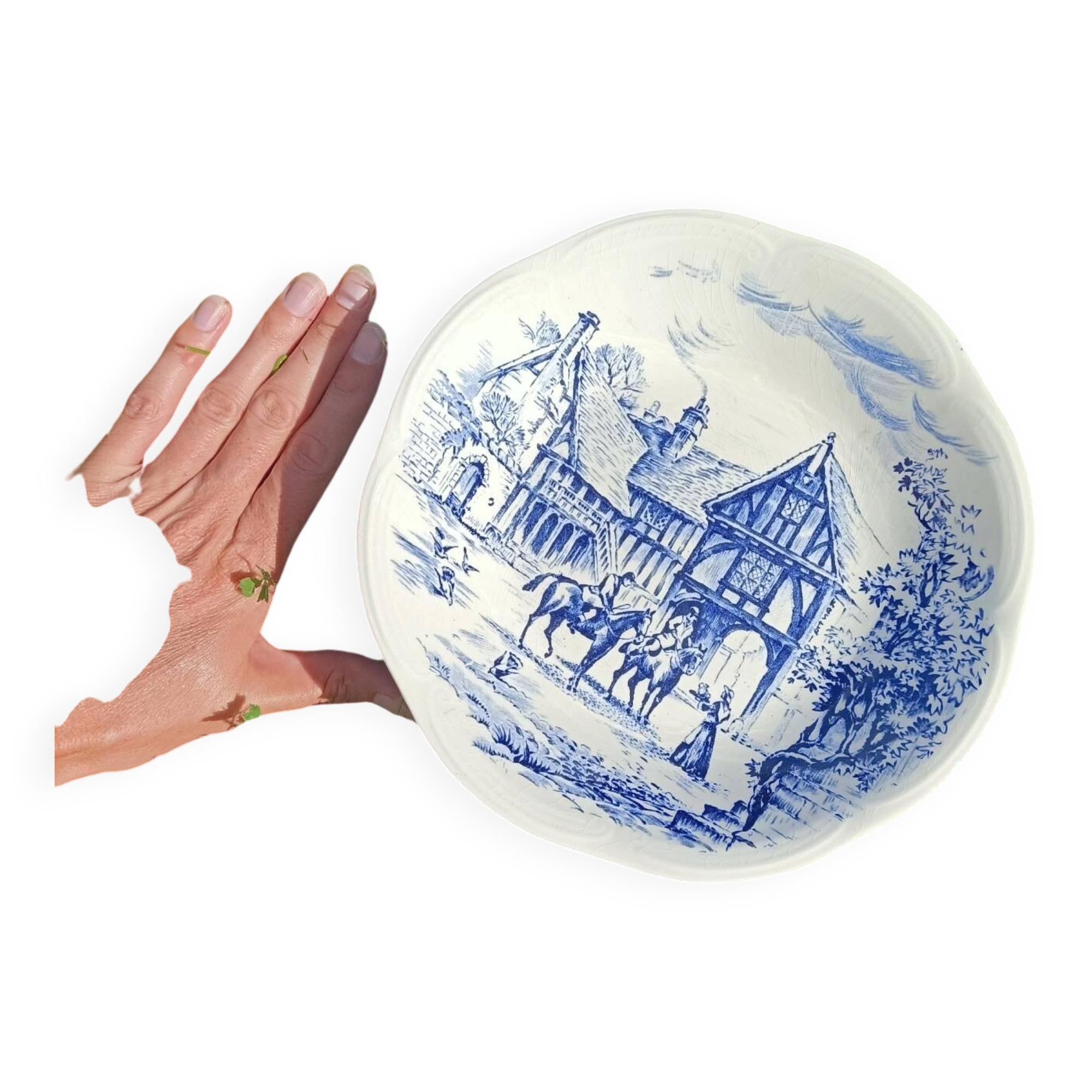 Plat ~ gien