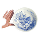 Plat ~ gien