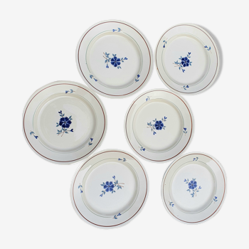 Lot of 6 flat plates in blueberry decor